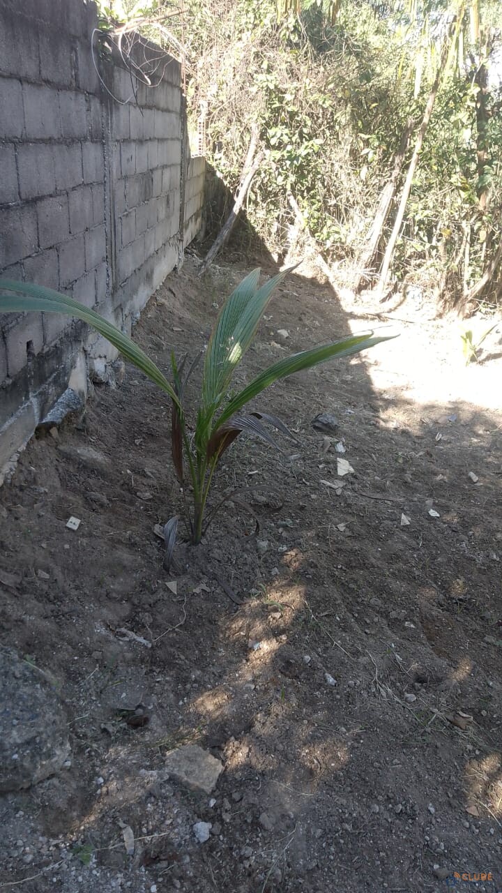 Terreno em Valverde, Nova Iguaçu/RJ